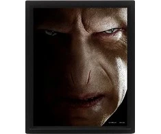E Druk Pyramid HARRY POTTER (HARRY VS VOLDEMORT) - FRAMED