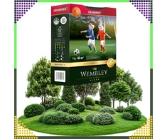 Realprices Aukščiausios kokybės sportinė žolė WEMBLEY 1kg 40 m sportinei vejai