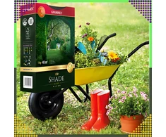 Realprices Aukščiausios kokybės žolių sėklų mišinys SHADE 1kg 40m šešėlinėms vietoms