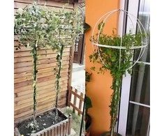 Realprices Sodo pergolės terasos metalinė atrama vijokliniams augalams, rožėms, 50x10 cm, baltos spalvos