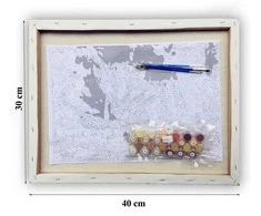 Realprices Tapyba pagal numerius tapyba su rėmeliu pasidaryk pats šepečių rinkinys dažai drobė 30x40