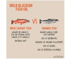 Schesir - Grizzly Wild Aliaskos žuvų taukai 1 l