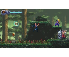 Dotemu Silverlit Ninja Gaiden: Įniršio banga