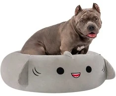 Squishmallows - augintinio guolis - ryklio formos 76 cm (JPT0097-L)