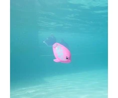 Swims Plaukimai – Rainbow Reef Fish – Rainbow Fish (6072523)