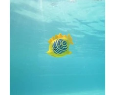 Swims Plaukimai – Rainbow Reef Zebra Fish – (6072505)