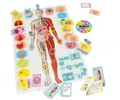 Tactic Games Let´s learn Our Amazing Body (60549)