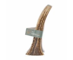 Taki - Elnio ragas XL 18 cm - (01-608)