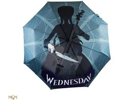 Vision Wednesday Trečiadienis – Skėtis – Trečiadienis su violončele