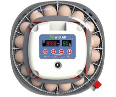 Willab - Kiaušinių inkubatorius su vieta 22 kiaušiniams - pilnai automatizuotas