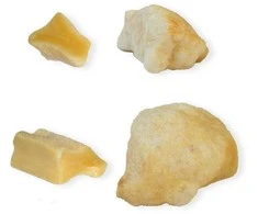 Yaki – sūrio ir ciberžolių užkandis šunims 60–69 g M – (01-576)