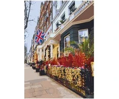 Omaart Aristokratinis Londonas