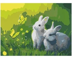 Omaart Zuikiai ant vejos