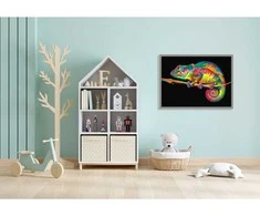 Omaart Chameleonas