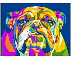 Omaart Spalvotas buldogas