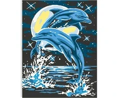 Omaart Naktiniai delfinai