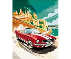 Omaart Ford Mustang