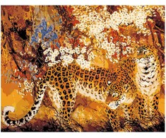 Omaart Leopardas 1