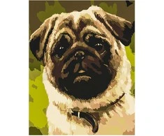 Omaart Toks smagus mopsas