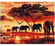 Omaart Safari