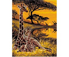 Omaart Safari