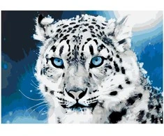 Omaart Sniego leopardas 35x50