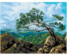 Omaart Kalno viršūnėje