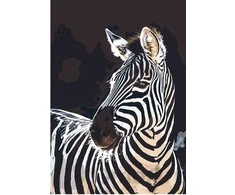 Omaart Zebras 50x35