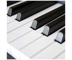V-TONE BL-8808 BK digital piano for learning USB MIDI juodas