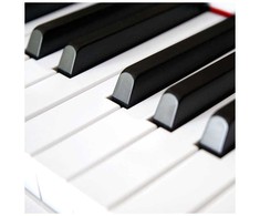 V-Tone V-TONE BL-8808 WH skaitmeninis pianinas mokymuisi su USB MID