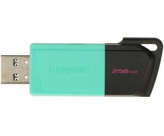 PENDRIVE FD-256 / DTXM-KINGSTON 256 GB USB 3.2 Gen 1