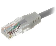 TST VIDINIS RJ-45 PLUG RJ45/WP-S/IN dangtelis