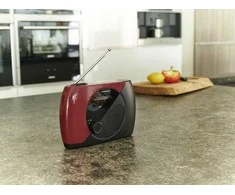 Thomson RT353 - nešiojamasis FM radijas