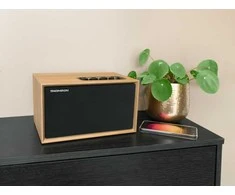 Thomson WS302 - Medinis „Bluetooth“ garsiakalbis
