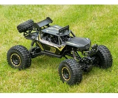 Roger RC automobilis Rock Crawler 2.4GHz 1:8 51cm juodas