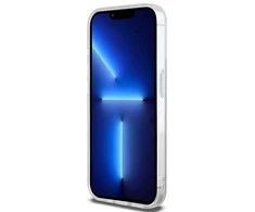 Apple iPhone 15 Pro DKNY dėklas IML Mono & Stripe MagSafe (DKHMP15LHRHSEE) beige