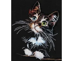 Abris Art Siuvinėjimo kryželiu rinkinys Pūkuotas kačiukas, 14 ct, 30x35 cm, 24 spalvų