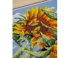 Aine Saulėgrąžos vėjyje kryželiu siuvinėjimo rinkinys, Aida 14 ct 30x24
