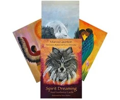 Animal Dreaming Spirit Dreaming sielos vedimo oracle kortos, 40 kortų