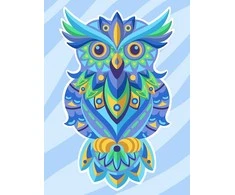 Hobilt Colourful Owl Deimantinio Paveikslo komplektas CS2544