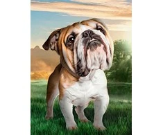 Hobilt Dreaming Dog Deimantinio Paveikslo komplektas CS2537