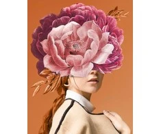 Hobilt Flower Symphony Deimantinio Paveikslo komplektas CS2526