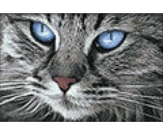 Hobilt Mėlyna-Eyed Cat 30х20 Deimantinio Paveikslo komplektas Cs2517