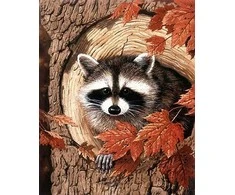 Hobilt Racoon in the Tree Deimantinio Paveikslo komplektas CS2561