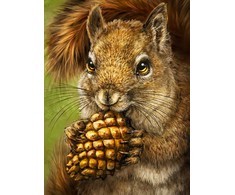 Hobilt Squirrel Totem Deimantinio Paveikslo komplektas CS2567