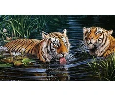Hobilt Tigers Deimantinio Paveikslo komplektas CS2569