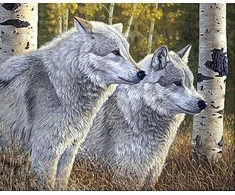 Hobilt Wolves Deimantinio Paveikslo komplektas CS2570