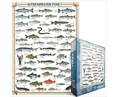 Eurographics 1000 dalių dėlionė „Gėlavandenės žuvys“ 50x70 cm vaikams nuo 8 m.