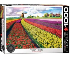 Tulip Eurographics 1000 detalių dėlionė „Tulpių laukai“ 67×49 cm – ryškus pavasario peizažas