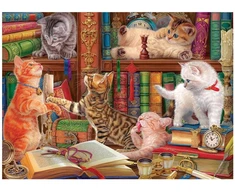 Eurographics Kačiukai bibliotekoje – 1000 detalių dėlionė suaugusiems, vidutinė, 67×49 cm